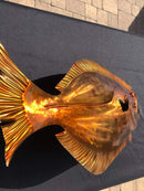 HC4100 Glamour Clearcoat Kit