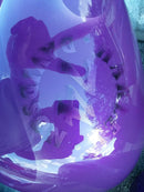 HC7677  Hi-Impact Clearcoat Kit