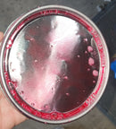 Chrysler Delmonico Red | PRV / NRV | 2015-2022 | OEM 2K Tri-Stage Basecoat