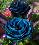 Tamco Candies Concentrate Monaco 