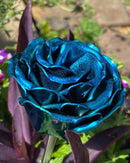 Tamco Candies Concentrate Monaco 