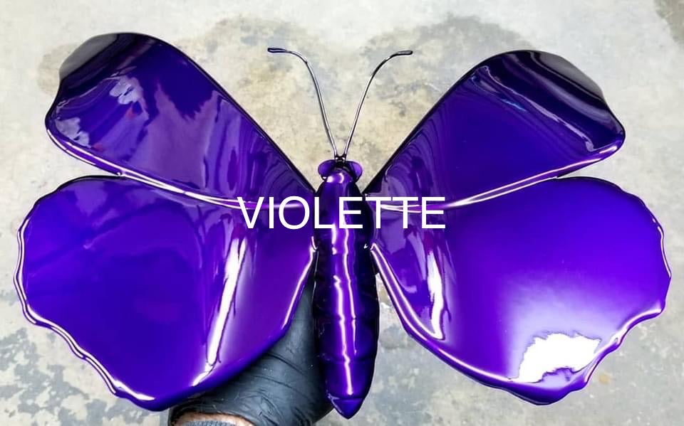 Candy Concentrate Variety Violette